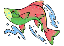 Team Puyallup Watershed Salmon Homecoming's avatar