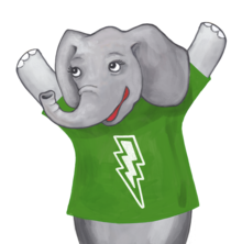 Team Elephants - SEM Energy Team and Friends's avatar