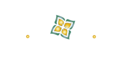 Team Friends of the Ecology Action Center's avatar