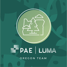 PAE | Luma - Oregon's avatar