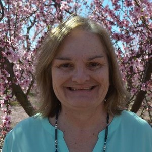 Wendy Olmstead's avatar